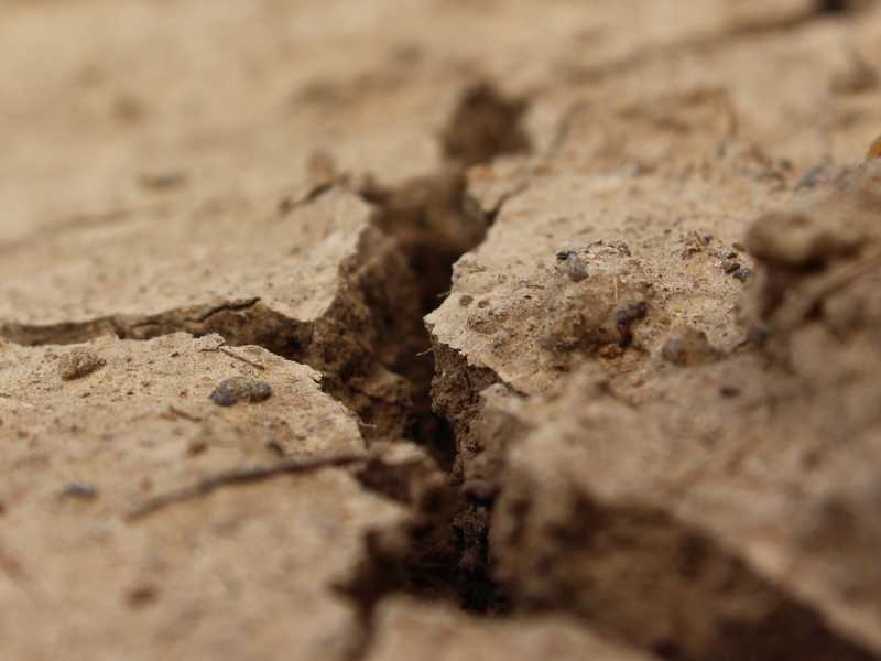 Smithdown residents use Facebook to tackle the litter problem on Lawrence Road and&nbsp;beyond